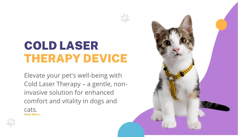 COLD LASER Therapy