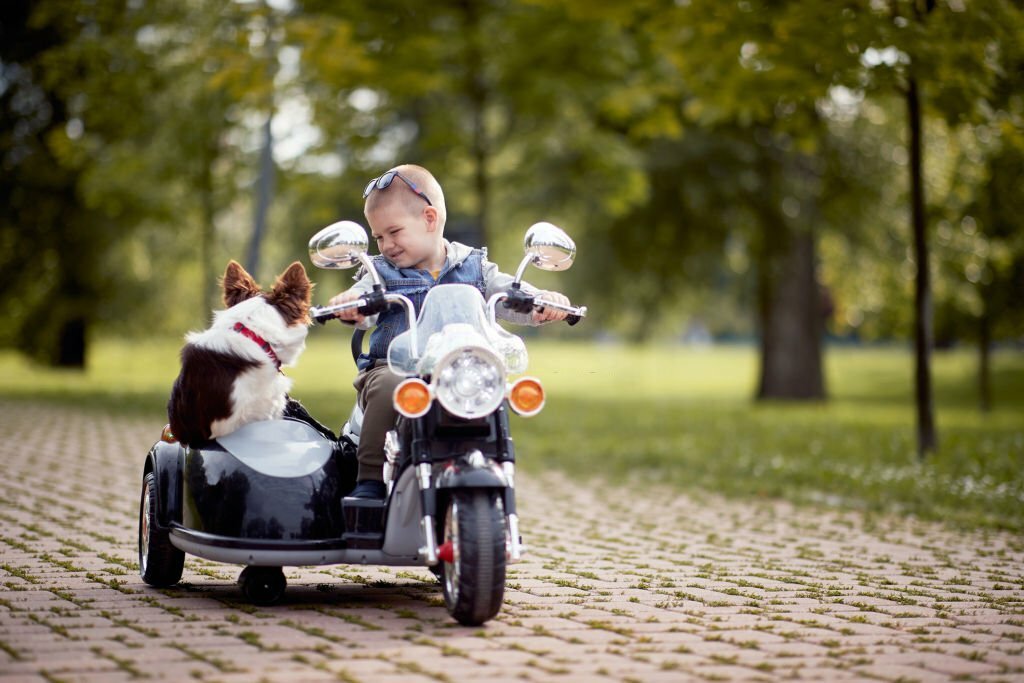 Exploring the Exciting World of Kid-Friendly Motorcycles at Toyishland