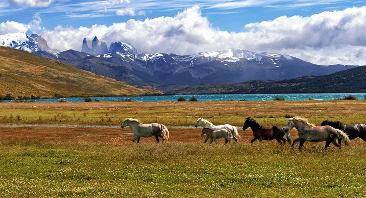 Patagonia's Panoramic Vistas